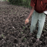 Nurturing agriculture