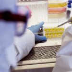 Under the microscope