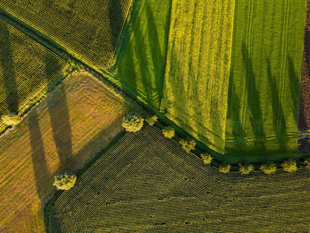 Bird’s eye view