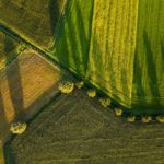 Bird’s eye view